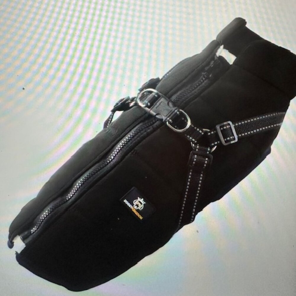 Doggy Kingdom Black XL WInter Coat